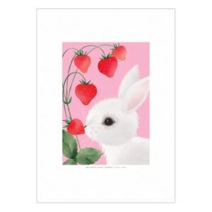 A4 Mansikoita mahan täydeltä